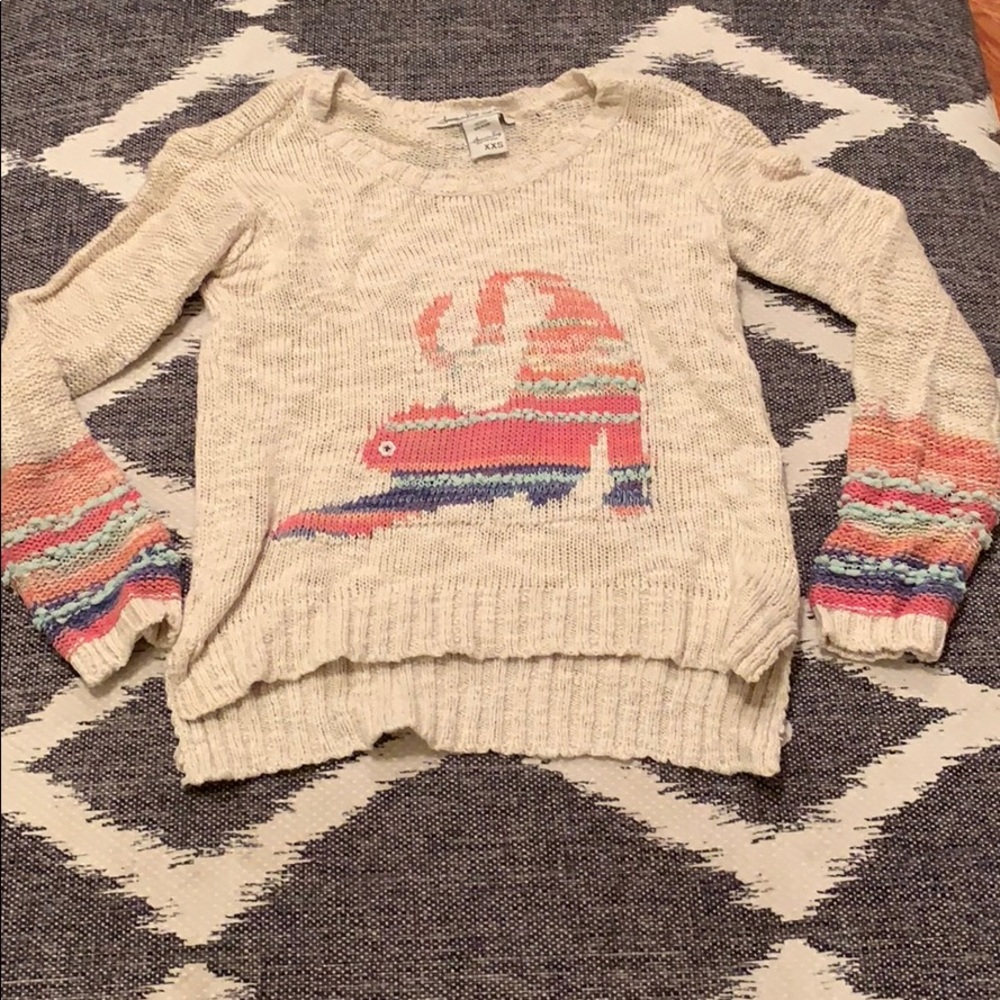 American Rag Knitted Cat Sweater